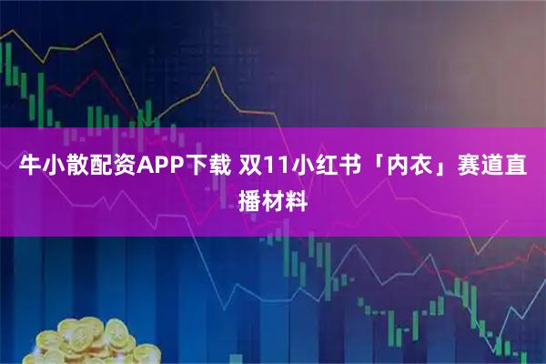 牛小散配资APP下载 双11小红书「内衣」赛道直播材料
