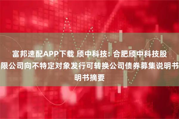 富邦速配APP下载 颀中科技: 合肥颀中科技股份有限公司向不特定对象发行可转换公司债券募集说明书摘要