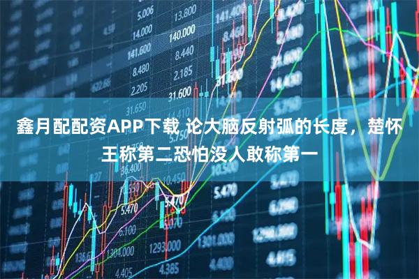 鑫月配配资APP下载 论大脑反射弧的长度，楚怀王称第二恐怕没人敢称第一