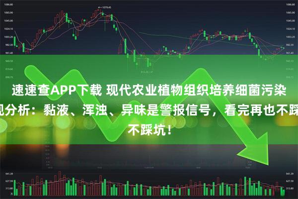 速速查APP下载 现代农业植物组织培养细菌污染表现分析：黏液、浑浊、异味是警报信号，看完再也不踩坑！